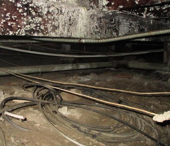 CRAWL SPACE MOLD DAMAGE IN A COMMERCIAL BUILDING