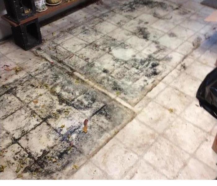 mold growing on floor tile